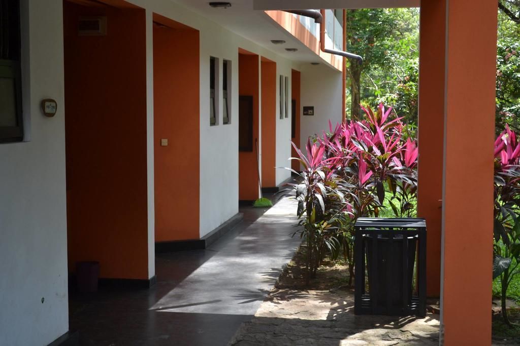 A corridor with orange and white walls, a trash bin, and potted plants.