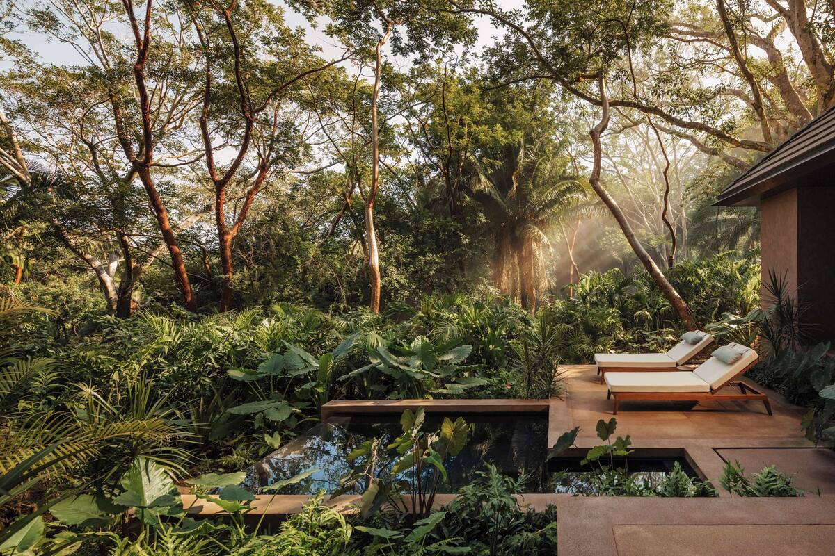A lush garden with two sun loungers and a small water feature.