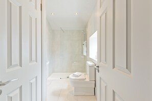 A modern bathroom with a toilet, a shower, and a mirror. - The Edge Suite - hiphipstay (Dublin)