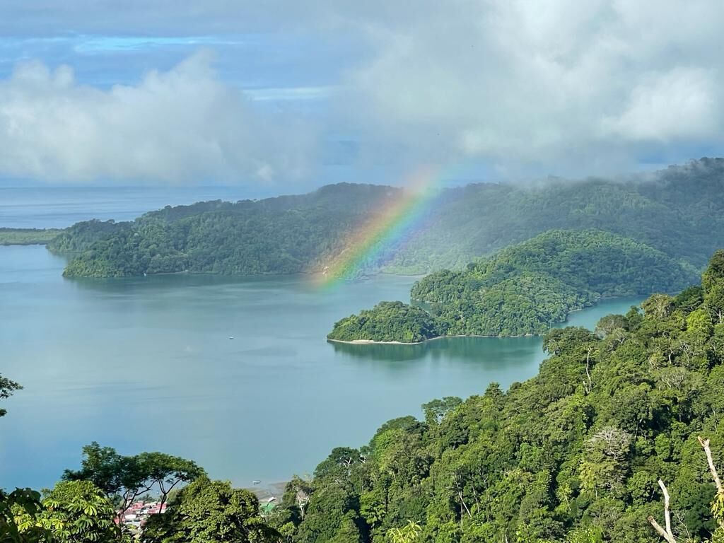 A tropical landscape with a clear view of a lake surrounded by lush greenery and forested islands.