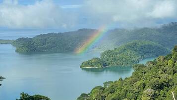 A tropical landscape with a clear view of a lake surrounded by lush greenery and forested islands.