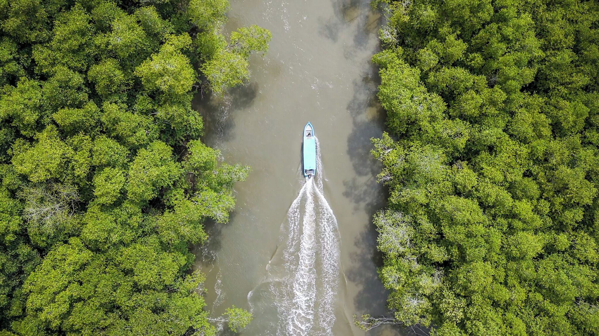 Vista aérea de un río con vegetación verde densa a ambos lados y una embarcación dejando una estela en el agua.
