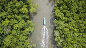 Vista aérea de un río con vegetación verde densa a ambos lados y una embarcación dejando una estela en el agua.