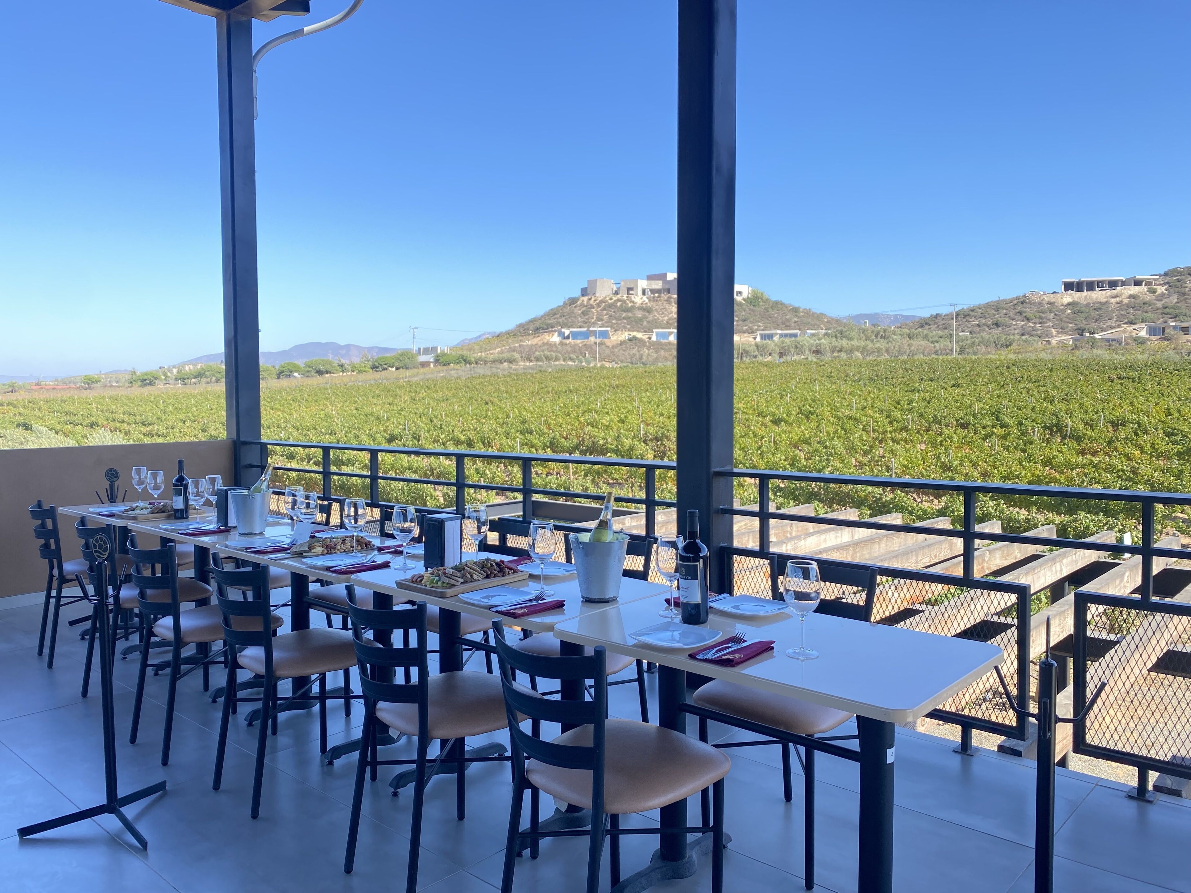 Un área de comedor al aire libre con mesas y sillas, vista a un viñedo y un cielo azul despejado.
