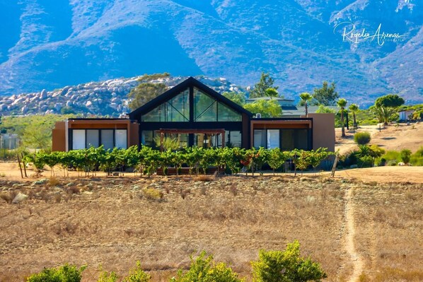 Building design - Xaroma (Valle de Guadalupe)