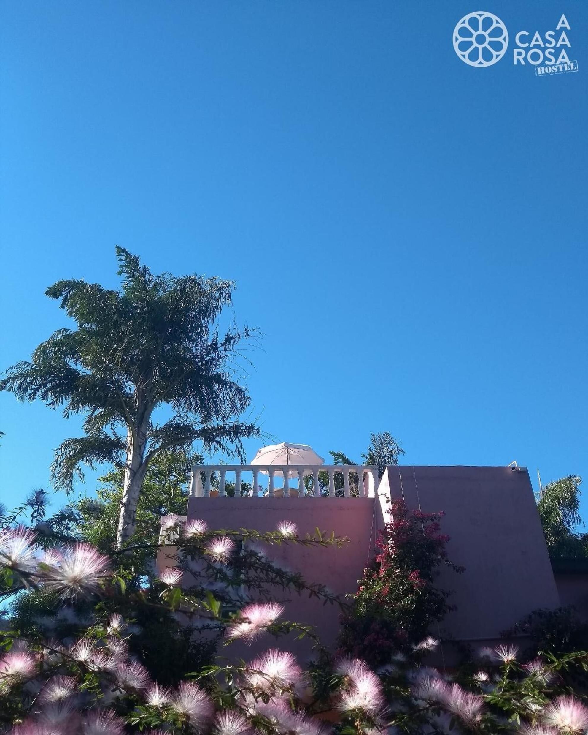 Um edifício com cúpula e varanda branca, rodeado por árvores e plantas floridas.