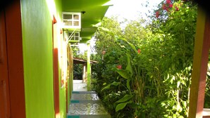 Un sendero estrecho que lleva a un edificio de fachada verde y suelo de baldosas.