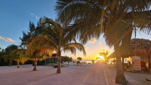 A beach scene with palm trees, a thatched-roof hut, and a clear sky. - Bay Towers Hotel (Caye Caulker)