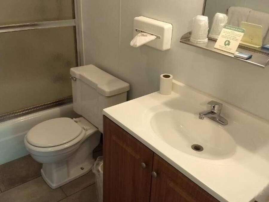 Un baño con inodoro, lavamanos y ducha.