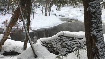 Escena nevada de un bosque con un arroyo y árboles cubiertos de nieve.