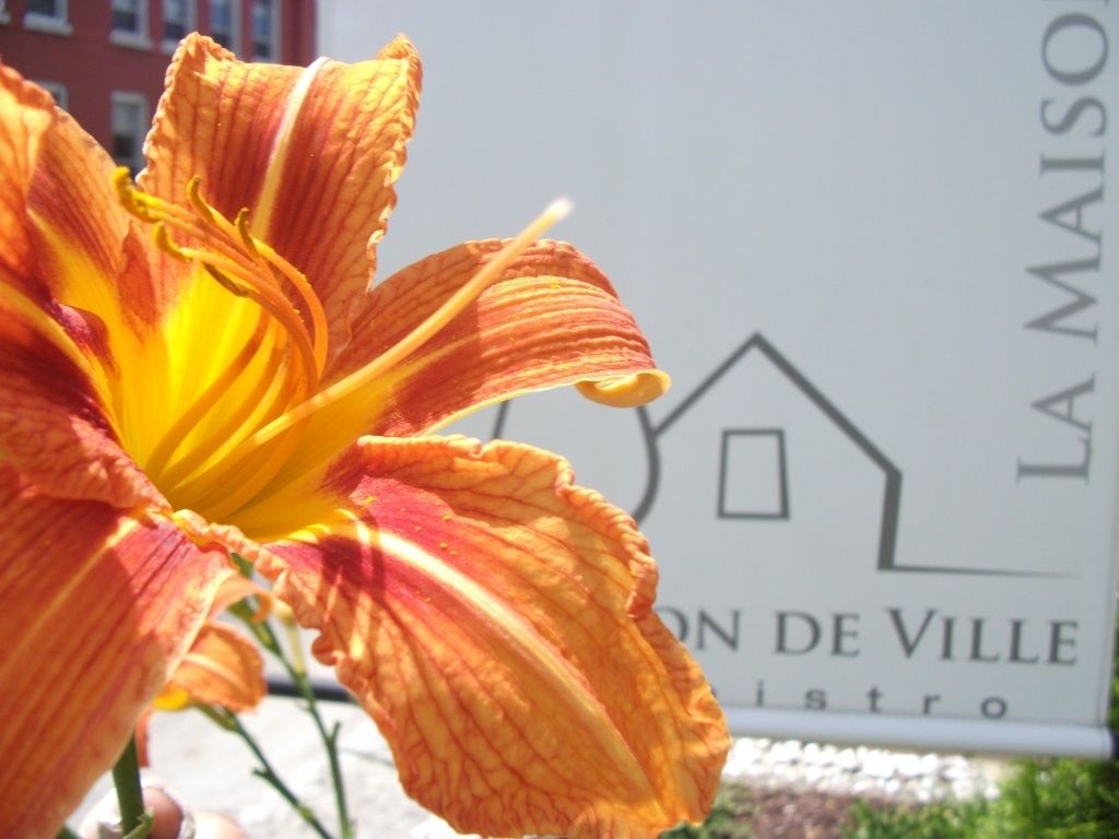 A sign with the text "LA MAISON DE VILLE" and a house icon.