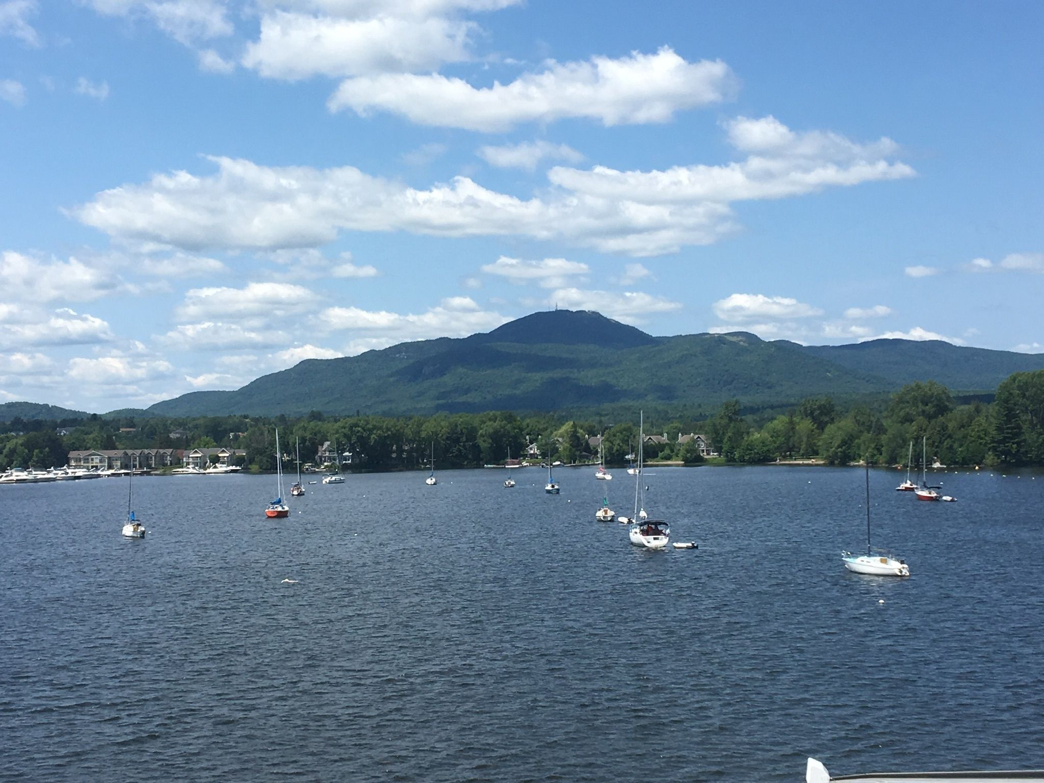 A lake with multiple sailboats and a mountain in the background.