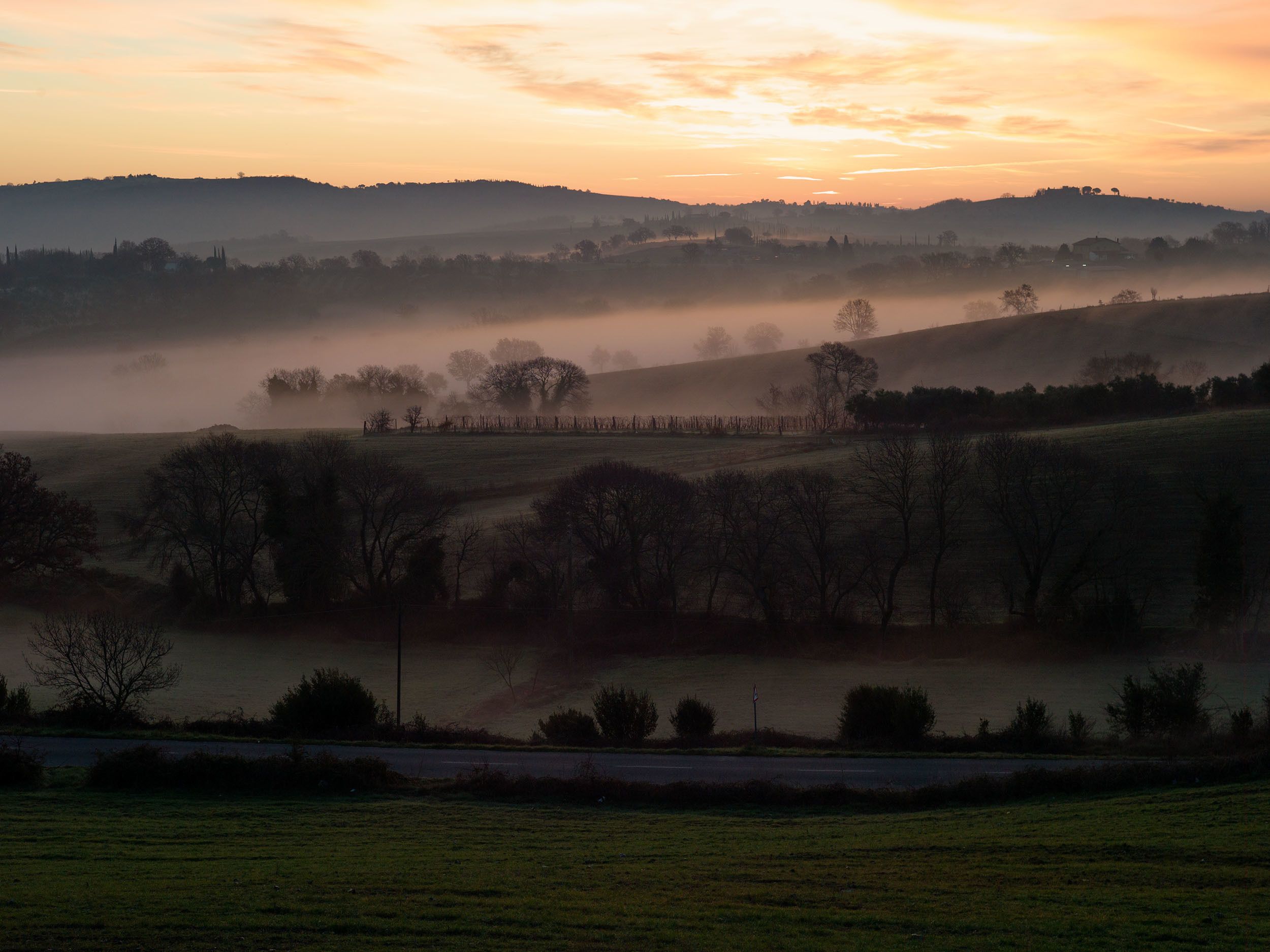 Eine neblige Landschaft mit sanften Hügeln und vereinzelten Bäumen.