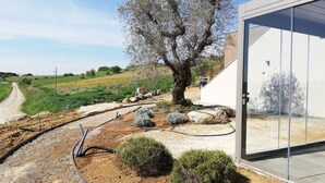 Een modern gebouw met een glazen deur, een aangelegde tuin met een grote boom en een onverhard pad dat naar een voertuig leidt.