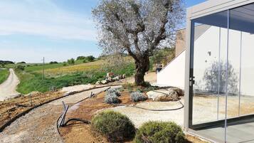 외부 세부 사진