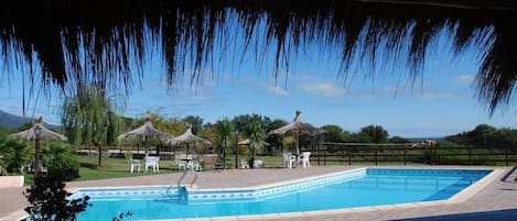 A swimming pool with lounge chairs and thatched umbrellas, surrounded by greenery and a clear sky.