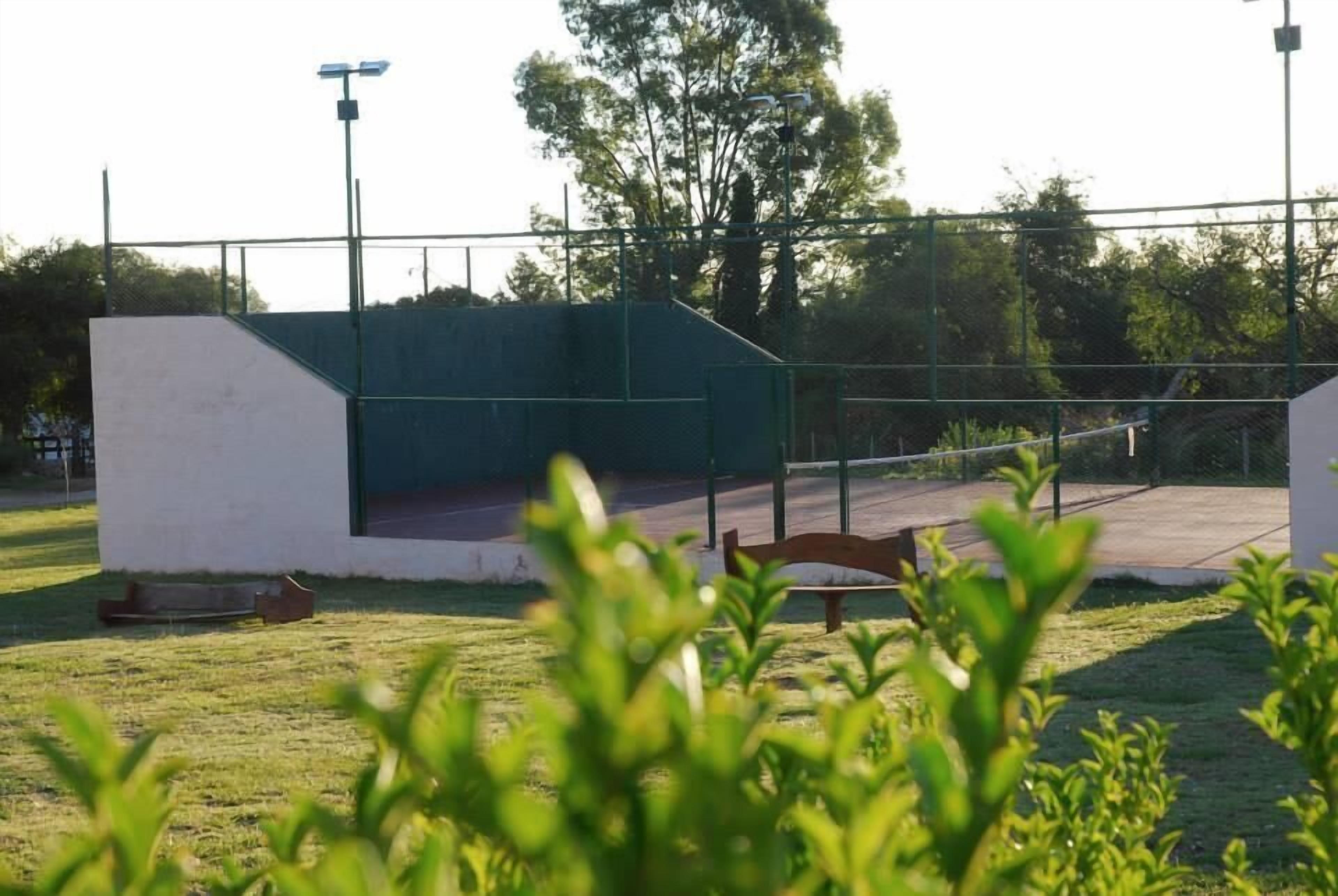 A fenced sports court with a bench, surrounded by greenery and trees.
