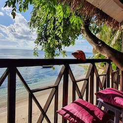 Panoramic Tree House