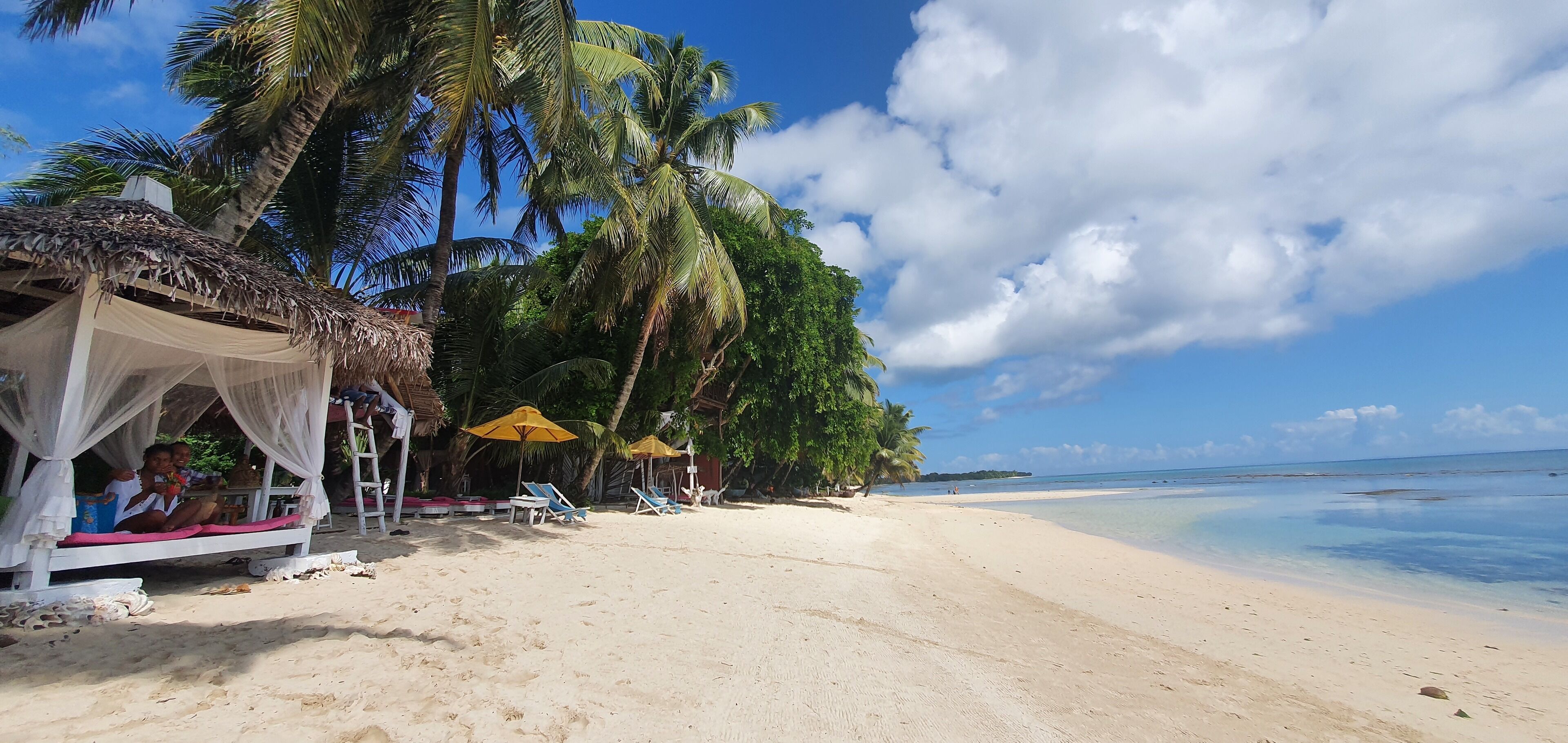 Una playa con cabañas de techo de paja, tumbonas y palmeras.