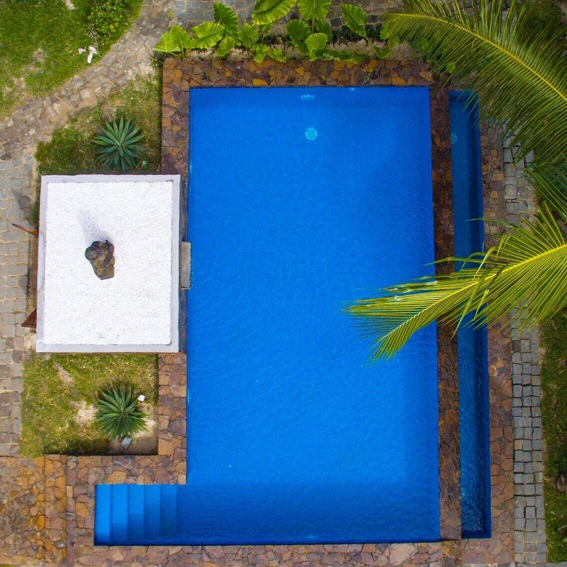 Vista aèria d'una piscina rectangular amb un marc de pedra, envoltada de vegetació i una petita construcció blanca amb una roca al capdamunt.