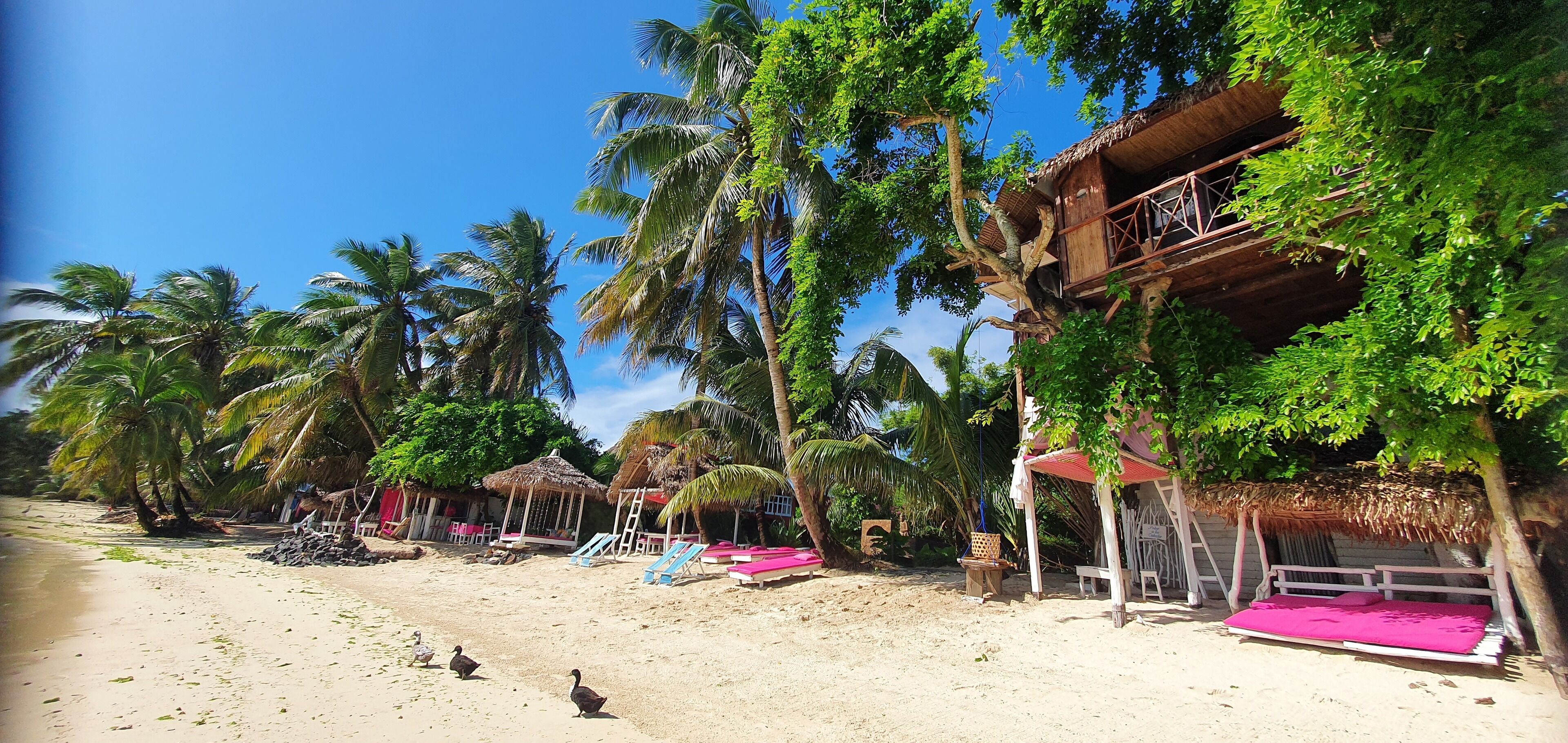 A beach with palm trees, a wooden structure with a thatched roof, and a sandy area with lounge chairs.