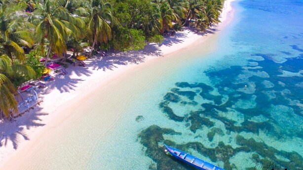 Una playa con agua turquesa cristalina, una orilla arenosa y una hilera de palmeras.