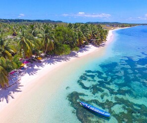 A beach with clear turquoise water, a sandy shore, and a row of palm trees. - Ravoraha Ecolodge (Nosy Boraha)