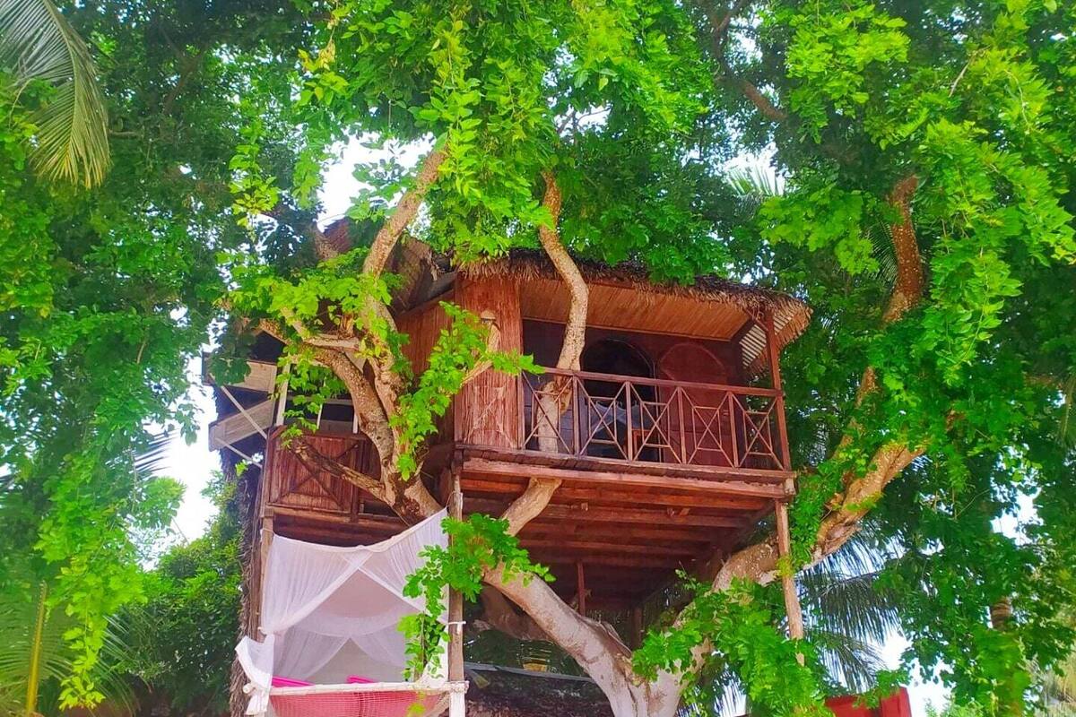 A treehouse with a thatched roof, surrounded by lush greenery.