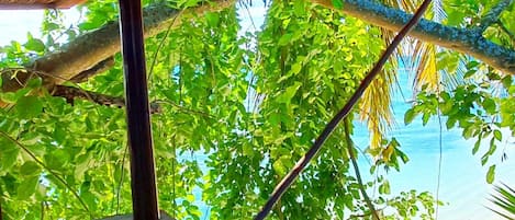 Una estructura de madera con vista a una playa y palmeras.
