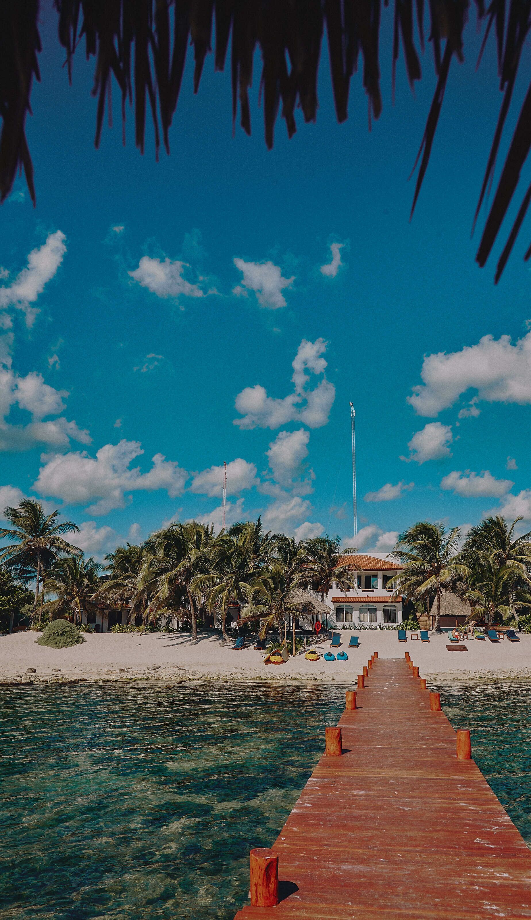A wooden pier leading to a beach with palm trees and a building in the background.