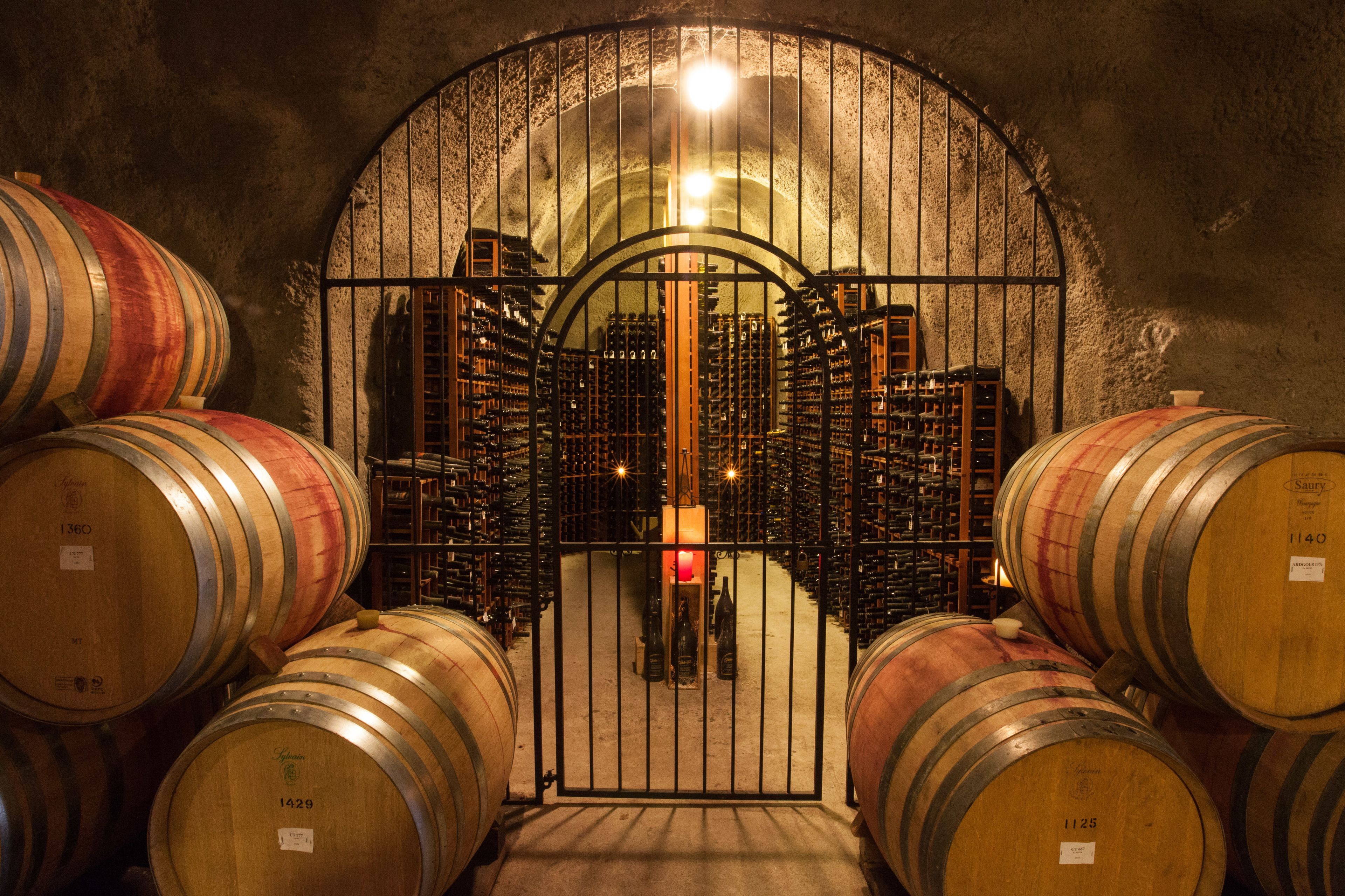 Una bodega con barriles de madera y una verja de metal.