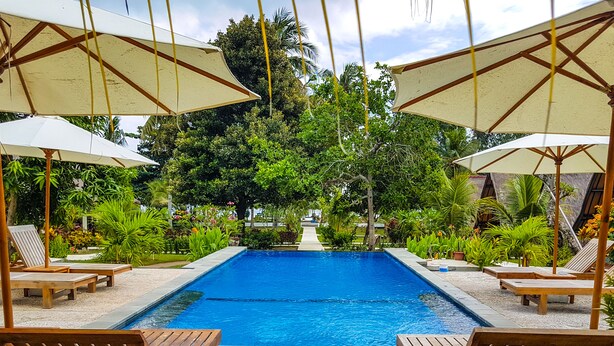 Una piscina con tumbonas de madera y sombrillas, rodeada de exuberante follaje.