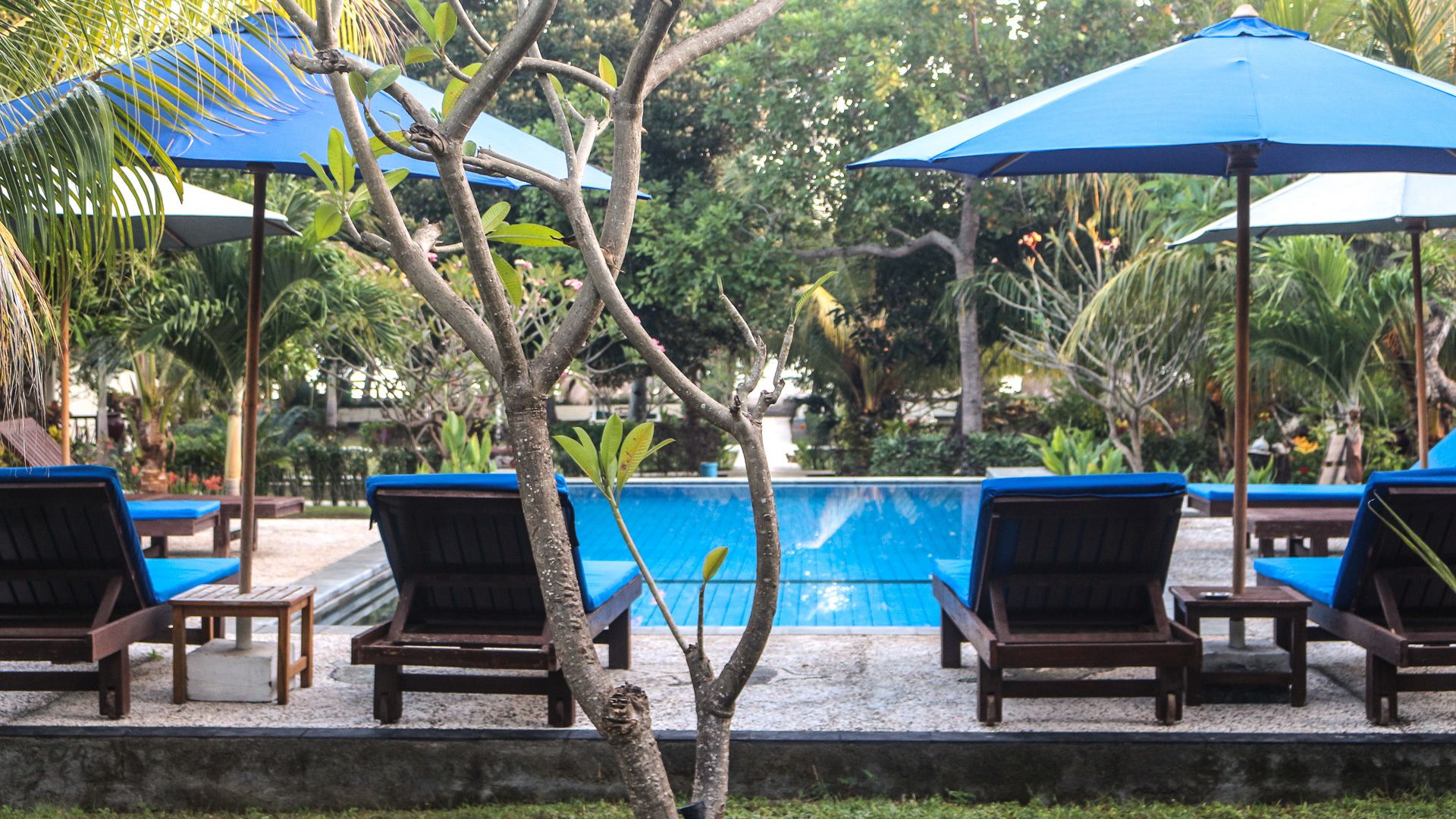 Kolam renang outdoor
