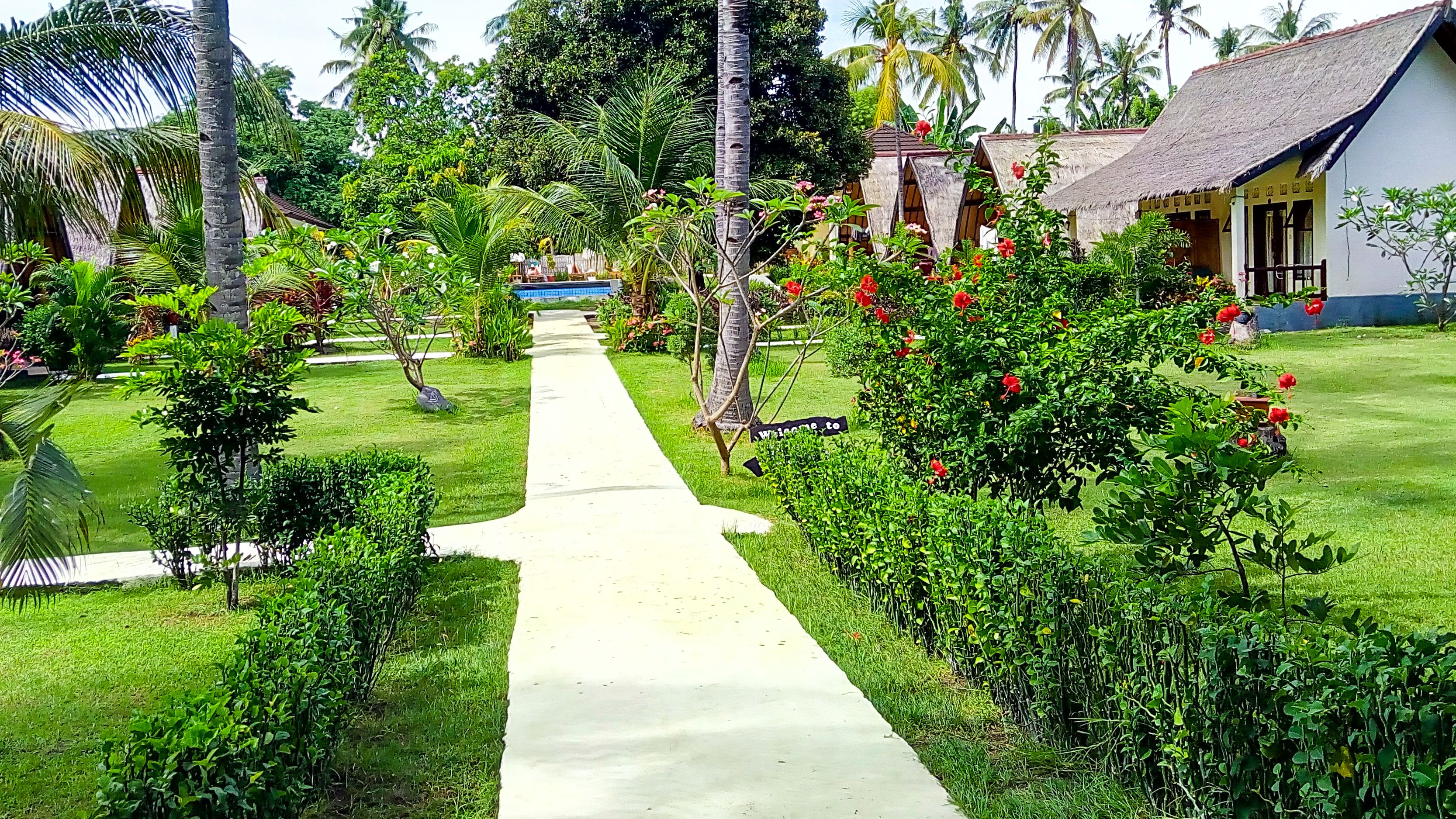 A pathway leading to a building with a thatched roof, surrounded by lush greenery and palm trees.