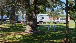 A campground with RVs parked among trees. - Kalgan River Chalets and Caravan Park (Kalgan)