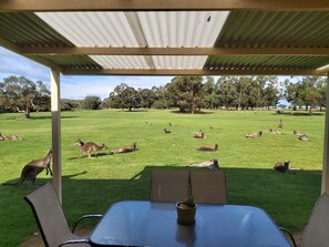 Property grounds - Kalgan River Chalets and Caravan Park (Kalgan)