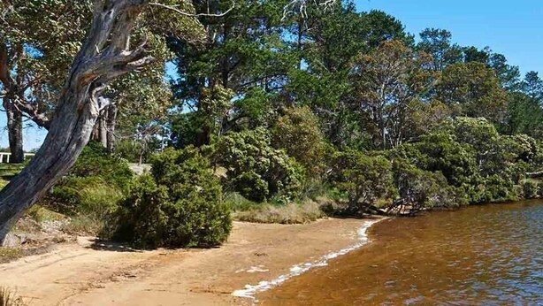 A beach with a sandy shore, dense greenery, and a calm body of water. - Kalgan River Chalets and Caravan Park (Kalgan)