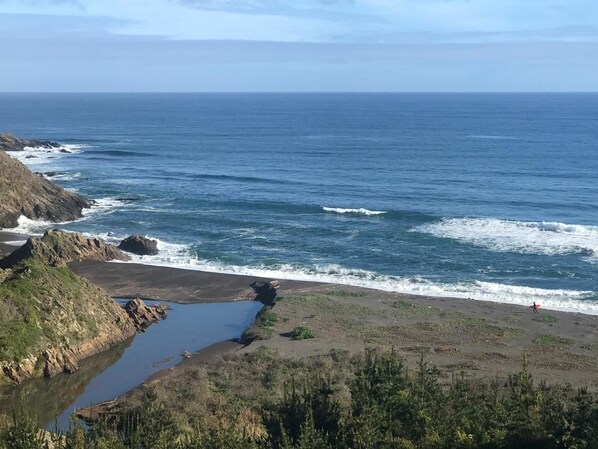Beach/ocean view