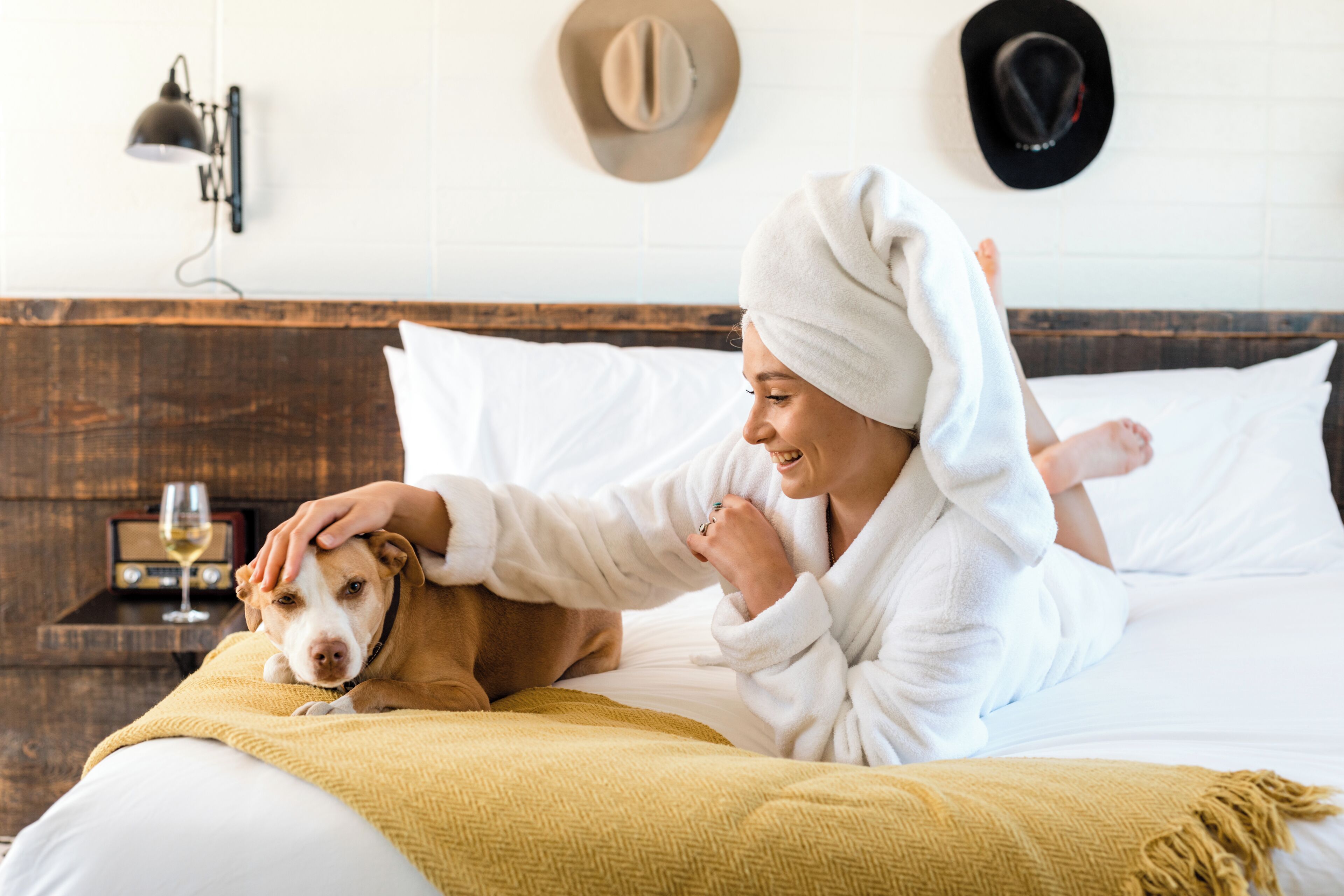 minibar, desk, laptop workspace, free wifi