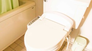 A toilet with a control panel, a toilet paper holder, and a bidet attachment. - Irou (Tonosho)