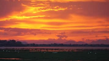 A sunset over a lake with birds on the shore and mountains in the background.