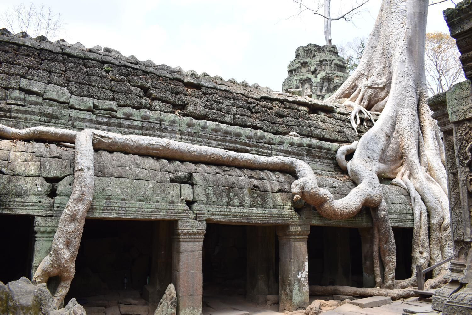 An ancient stone structure with large tree roots intertwined with the architecture.