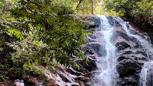A waterfall in a forested area with a clear stream at the base. - Ark Batu Caves Hotel (Batu Caves)