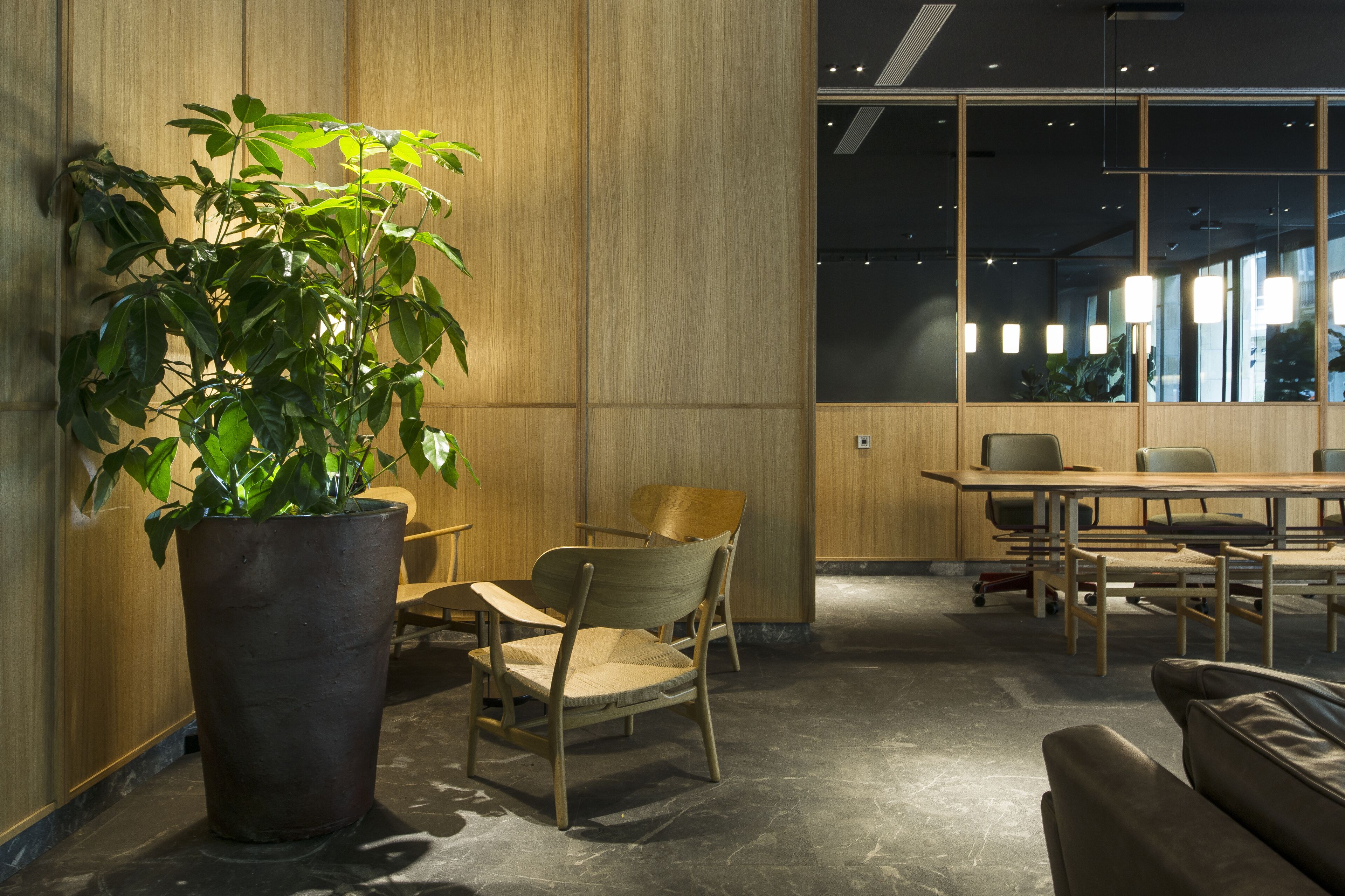 A modern meeting room with a large potted plant, wooden chairs, a conference table, and large windows with natural light.