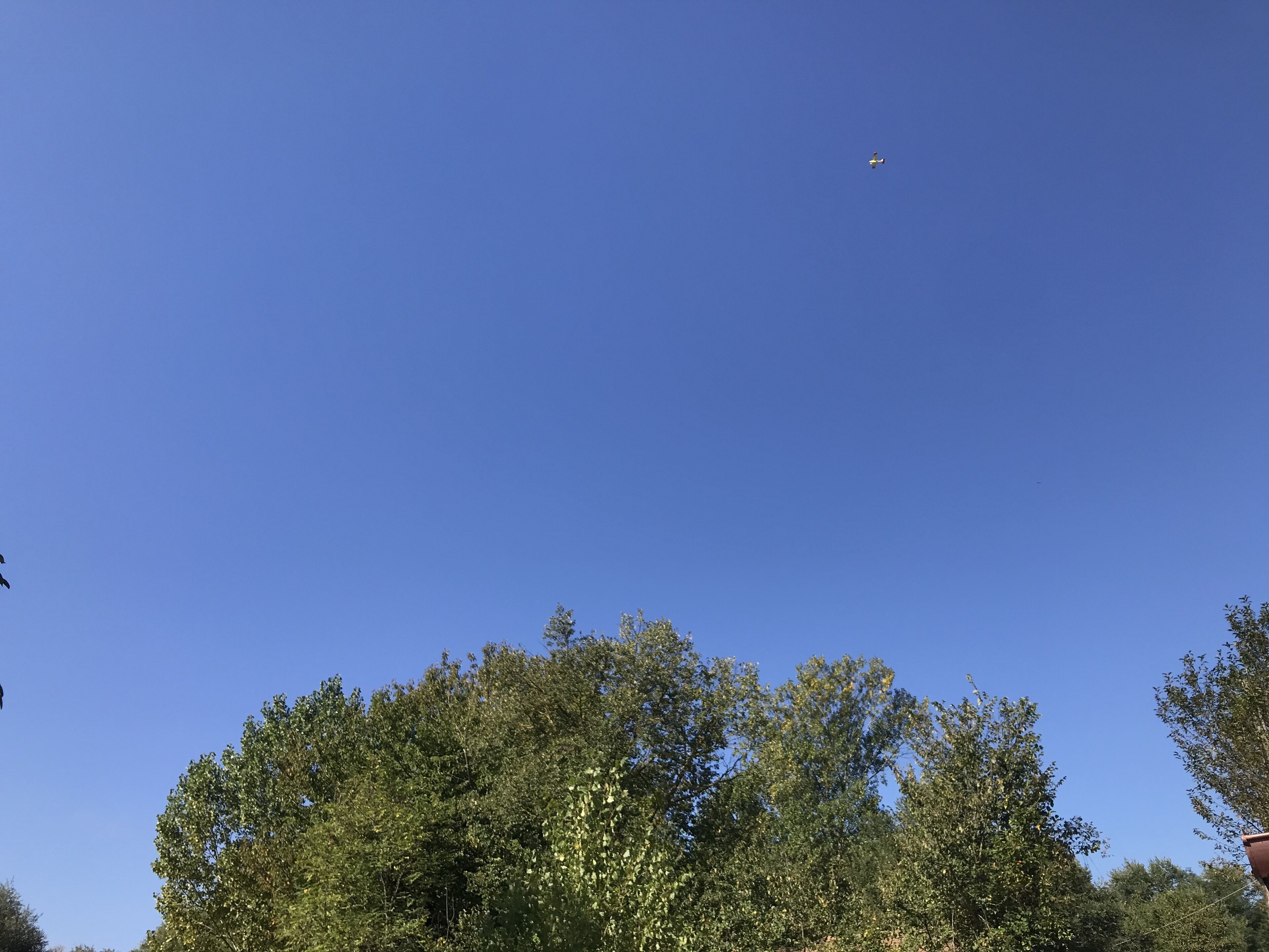 A clear blue sky with a plane flying overhead and dense green trees in the foreground.