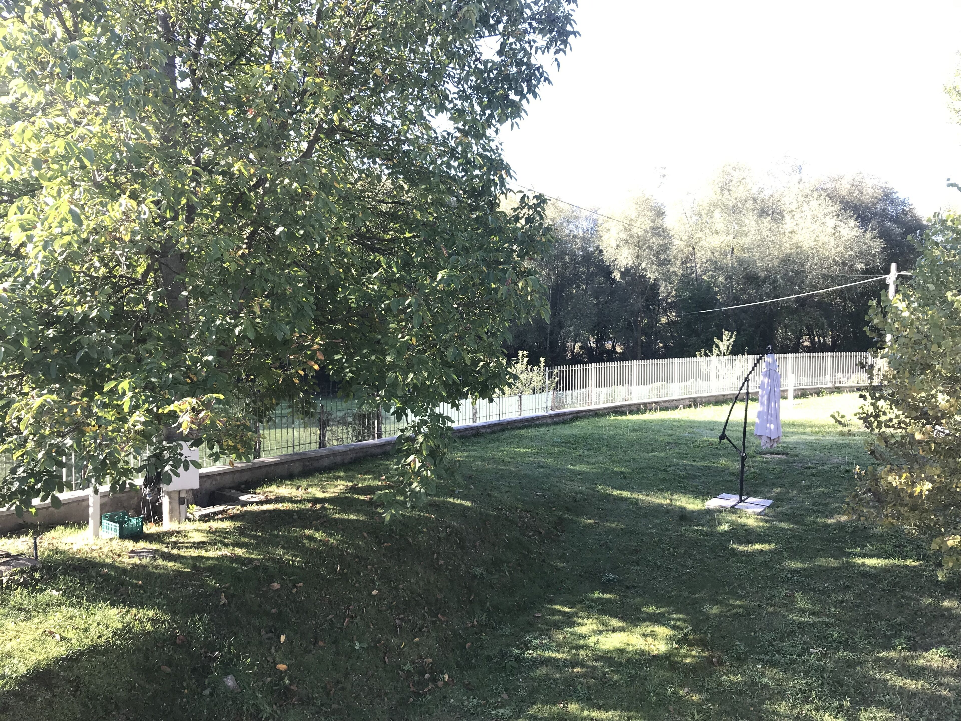 A grassy area with a white fence, trees, and a swing set.