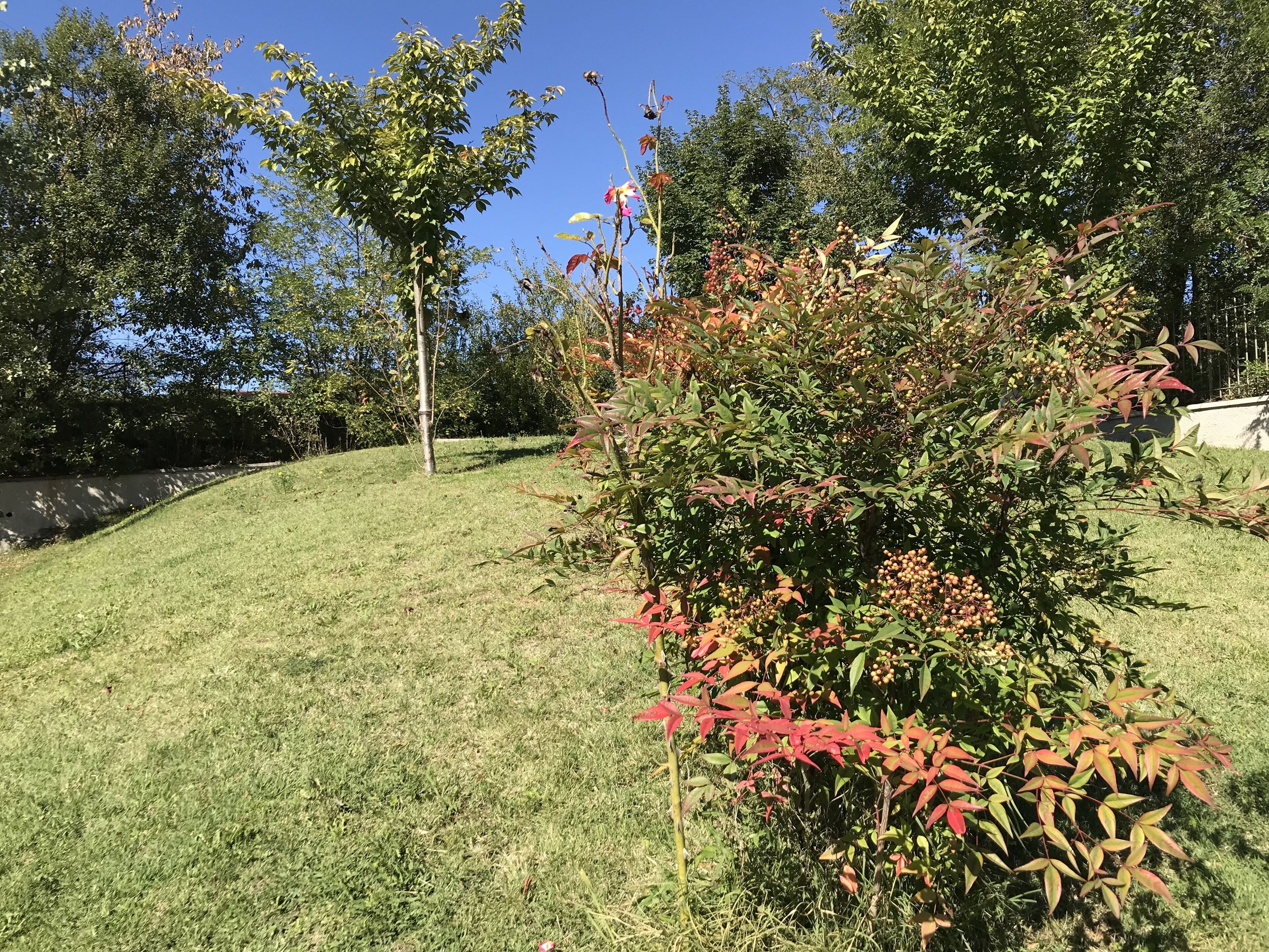 Business-Doppelzimmer zur Einzelnutzung | Ausblick vom Zimmer