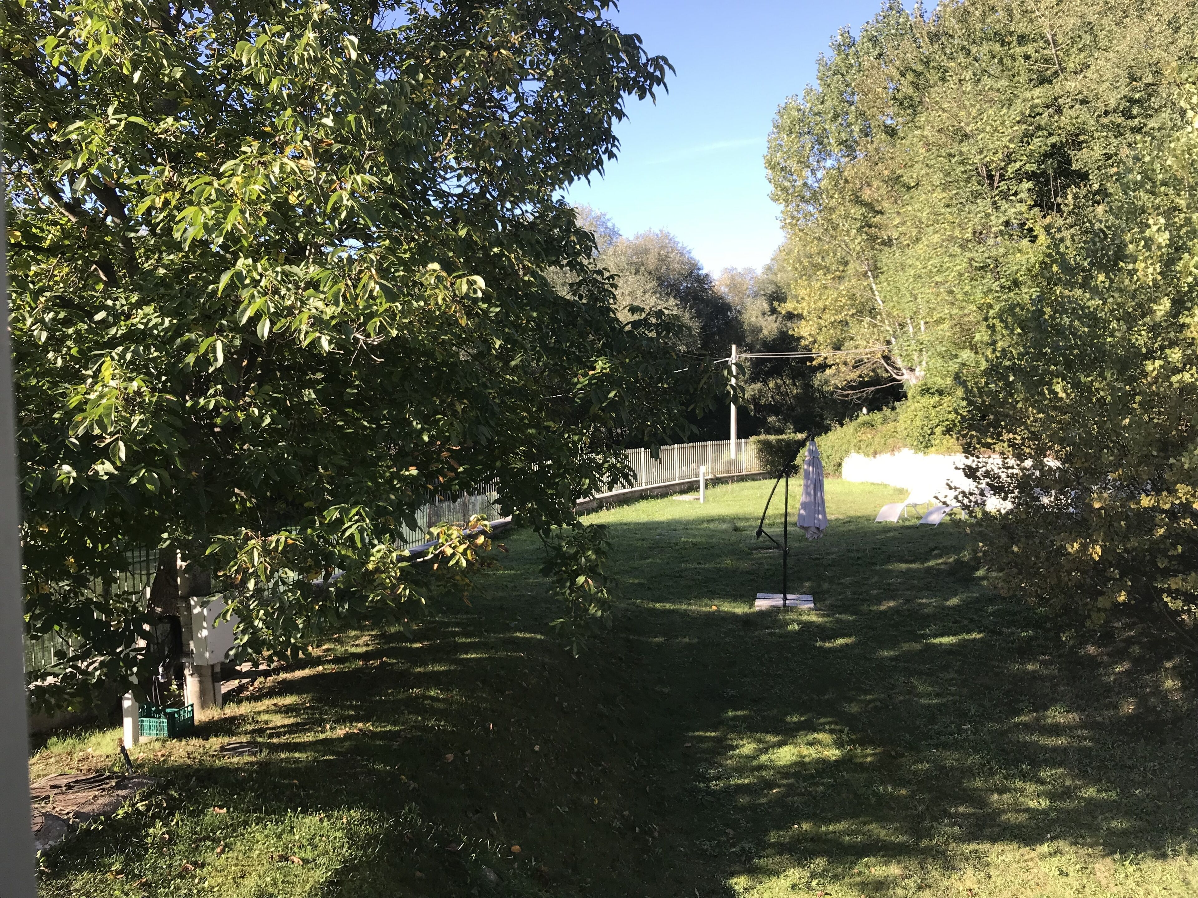 Un parc avec une pelouse, des arbres, une clôture en métal et un trépied sur lequel est posé un tissu.