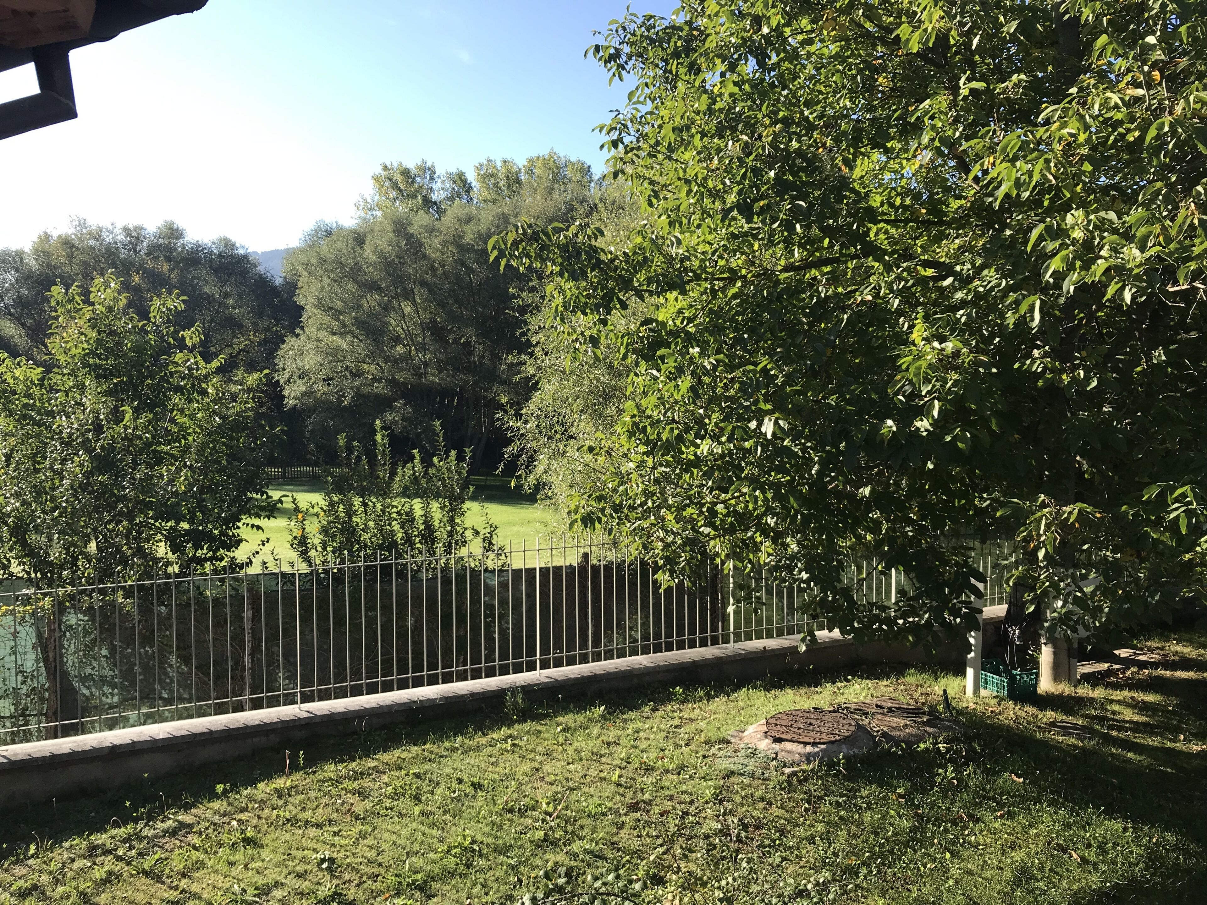 Une zone herbeuse délimitée par une clôture métallique, avec des arbres et un champ verdoyant en arrière-plan.