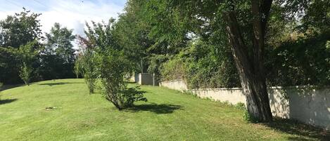 Un patio trasero con césped, un árbol, un muro bajo y cielo despejado.